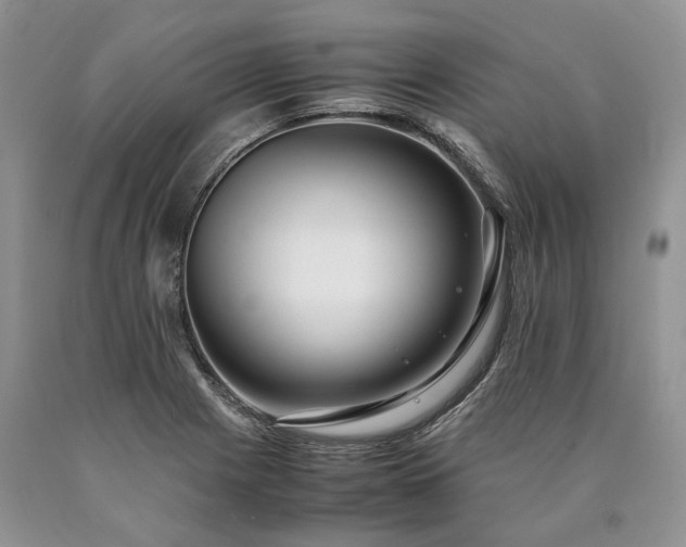 X0000090451225200707201307