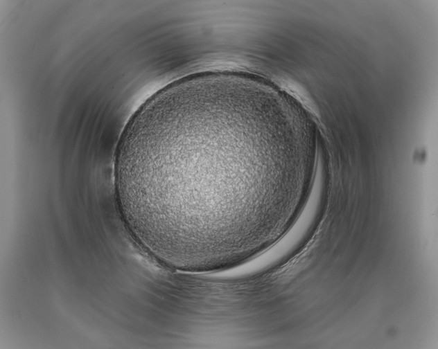 X0000090451226200707201307
