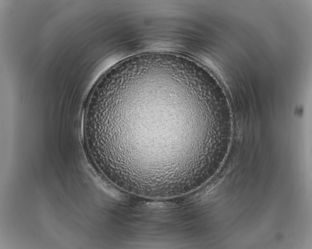 X0000090451227200707201307