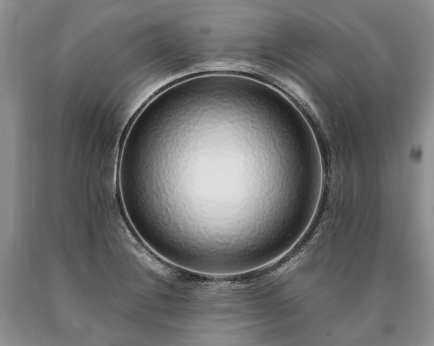 X0000090451228200707201307