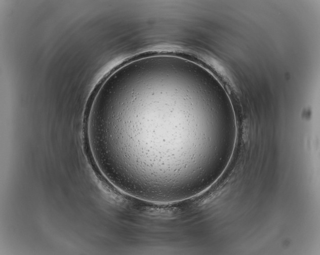 X0000090451229200707201307