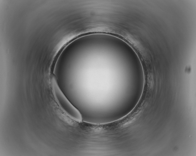 X0000090451230200707201307