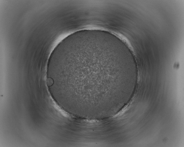 X0000090451231200707201307