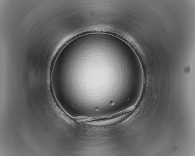 X0000090451232200707201307