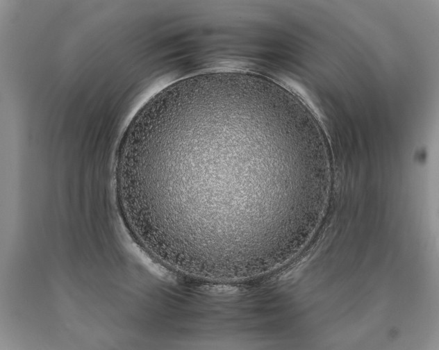 X0000090451235200707201307