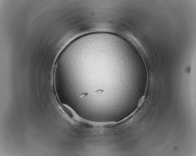 X0000090451236200707201307