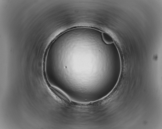 X0000090451237200707201307