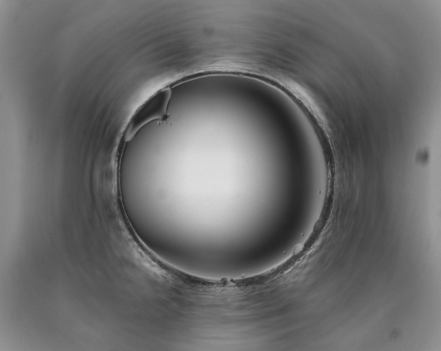 X0000090451238200707201307