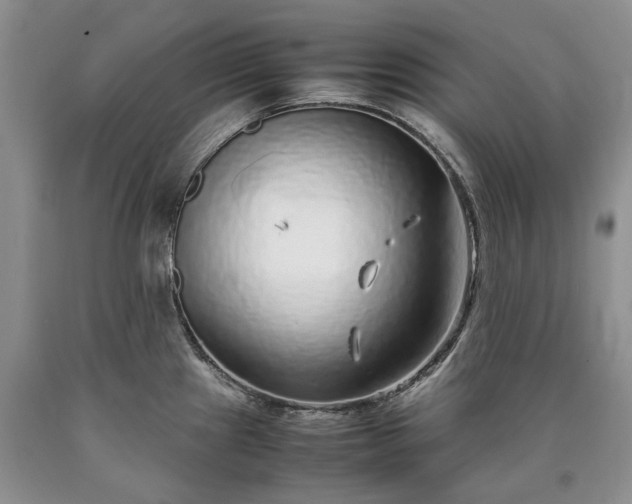 X0000090451241200707201307
