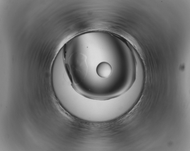 X0000090451242200707201307