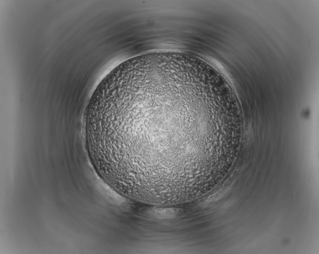 X0000090451243200707201307