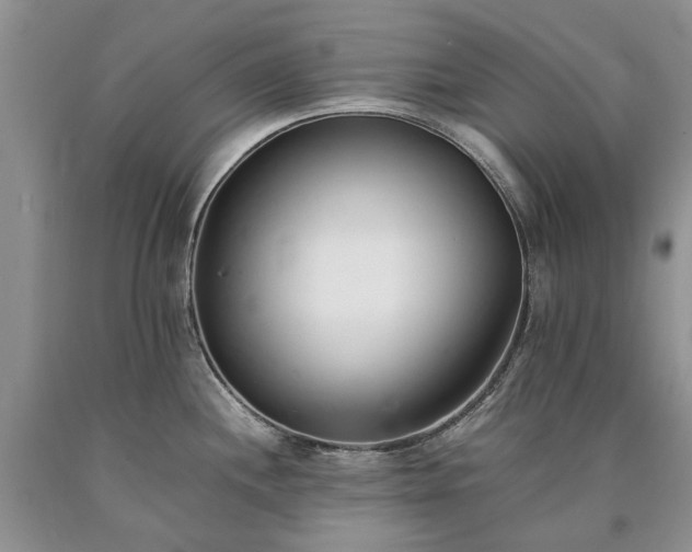 X0000090451244200707201307