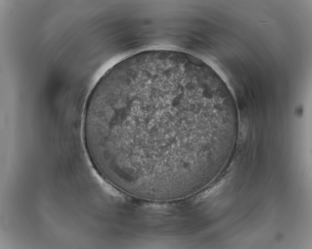 X0000090451245200707201307