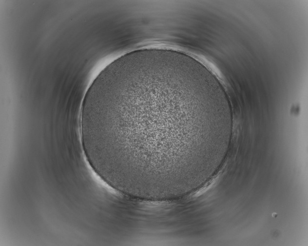 X0000090451247200707201307