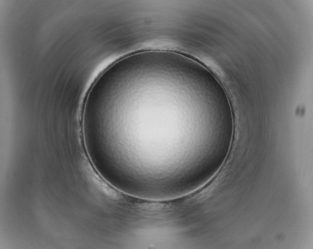 X0000090451248200707201307
