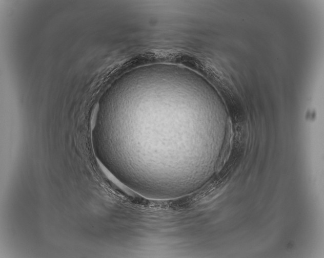 X0000090451249200707201306