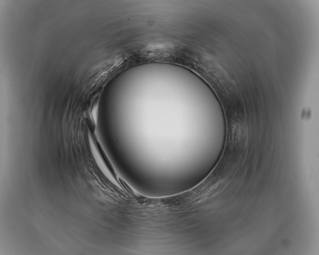 X0000090451250200707201306