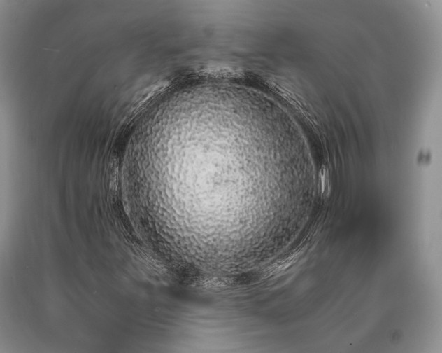 X0000090451251200707201306