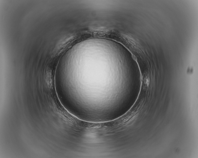 X0000090451252200707201306