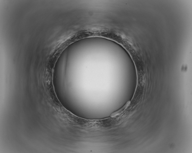X0000090451253200707201306