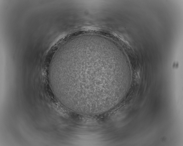 X0000090451254200707201306