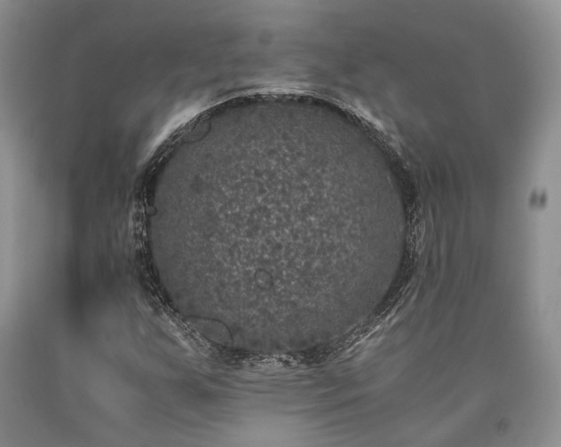 X0000090451255200707201306