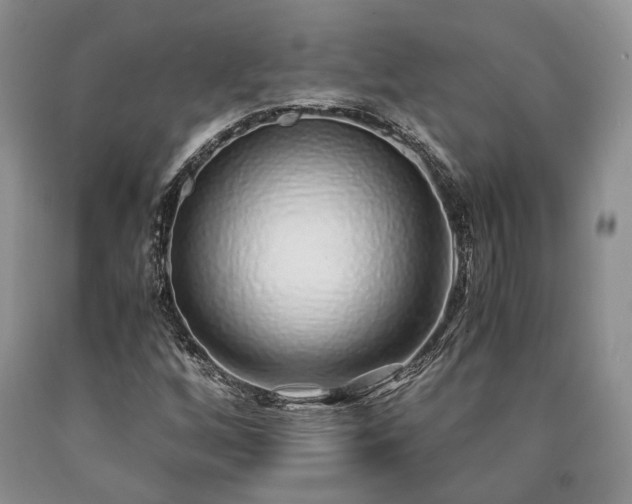 X0000090451256200707201306