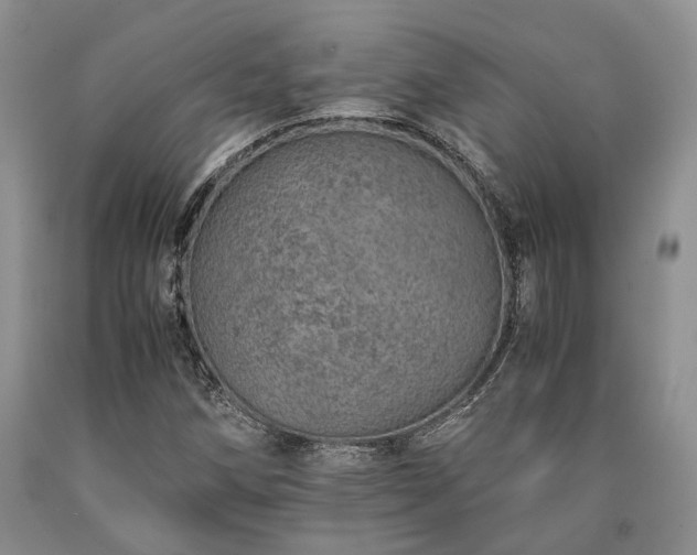 X0000090451258200707201306