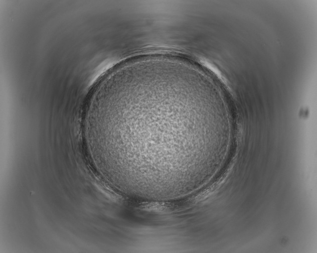 X0000090451259200707201306