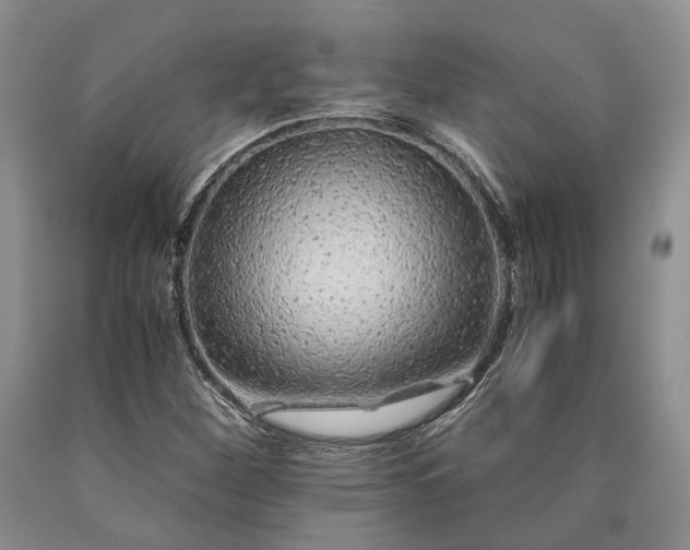 X0000090451260200707201306