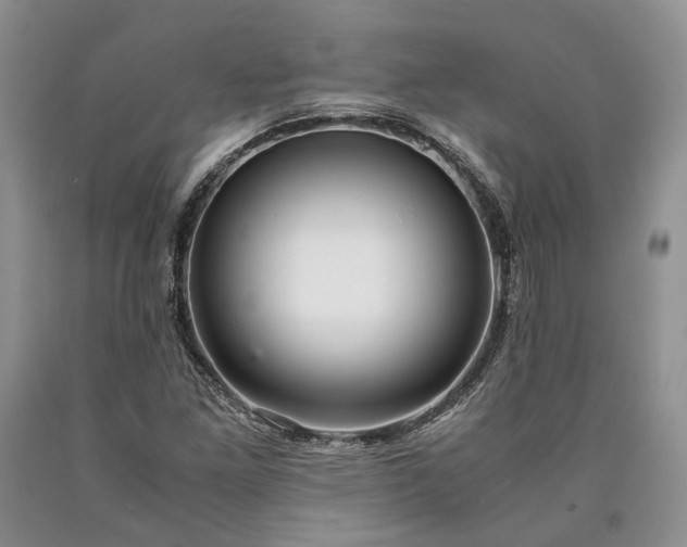 X0000090451261200707201306