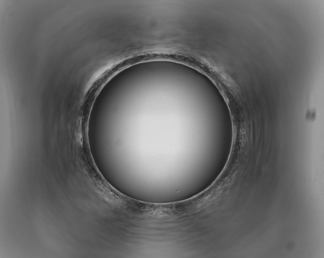 X0000090451262200707201306