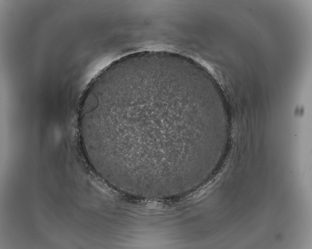 X0000090451263200707201306
