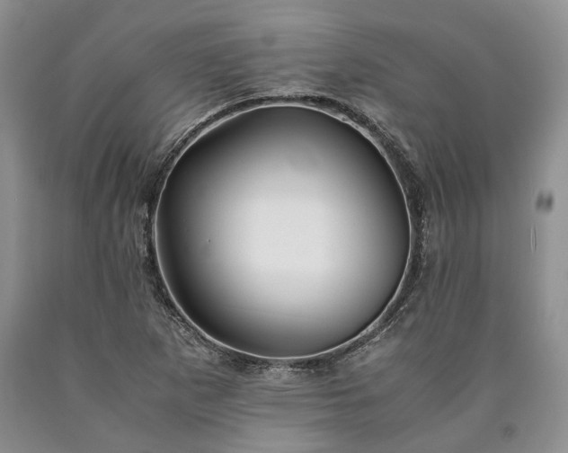 X0000090451265200707201306