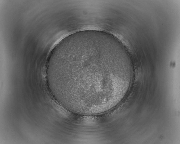 X0000090451266200707201306