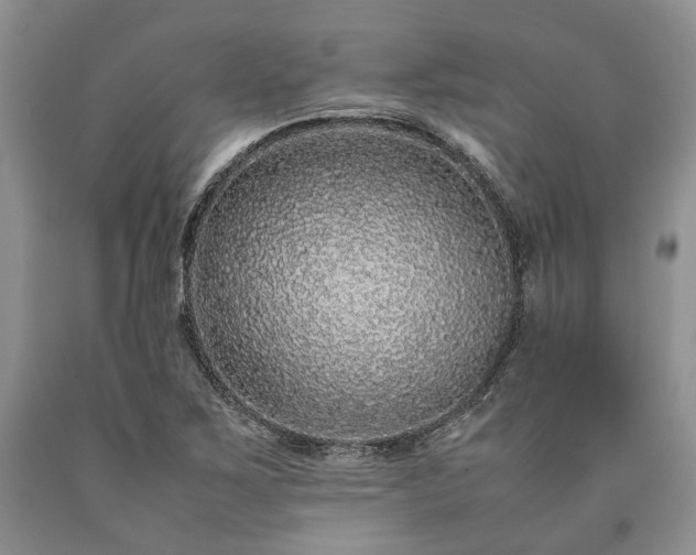 X0000090451267200707201306