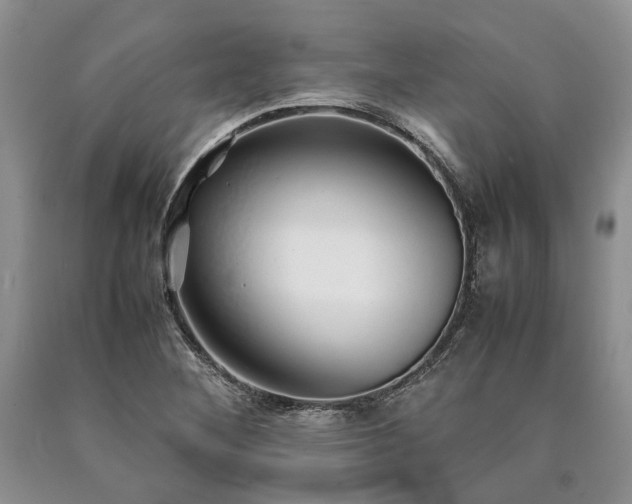 X0000090451268200707201306