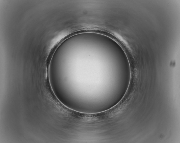 X0000090451269200707201306