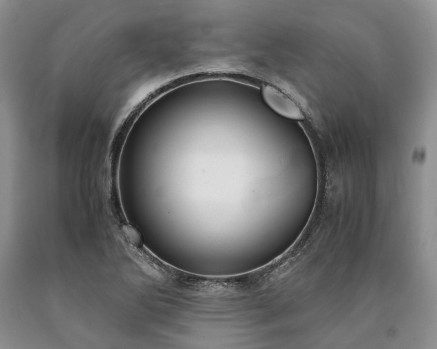 X0000090451270200707201306