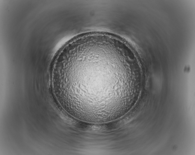 X0000090451271200707201306