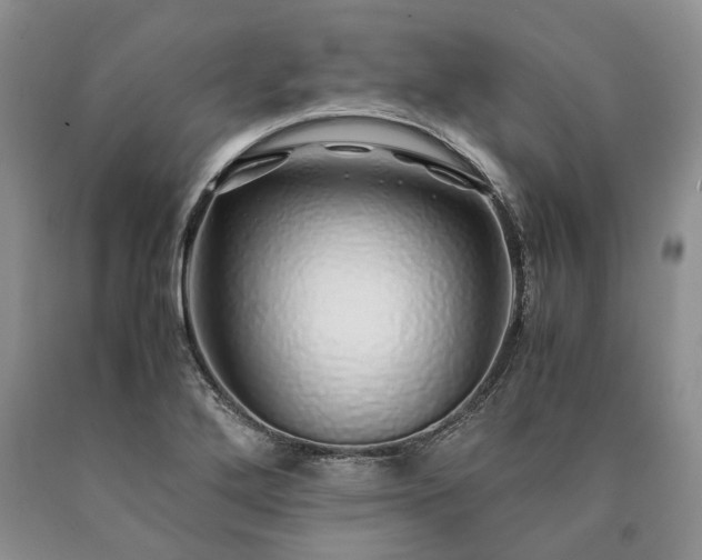 X0000090451272200707201306