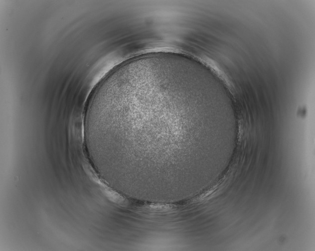 X0000090451274200707201306