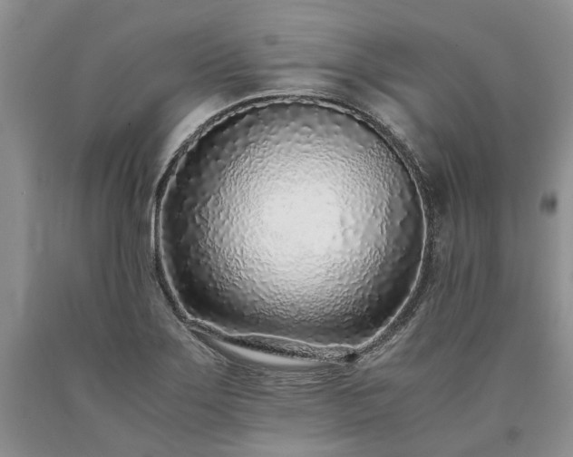 X0000090451275200707201306
