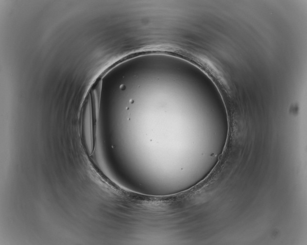 X0000090451276200707201306