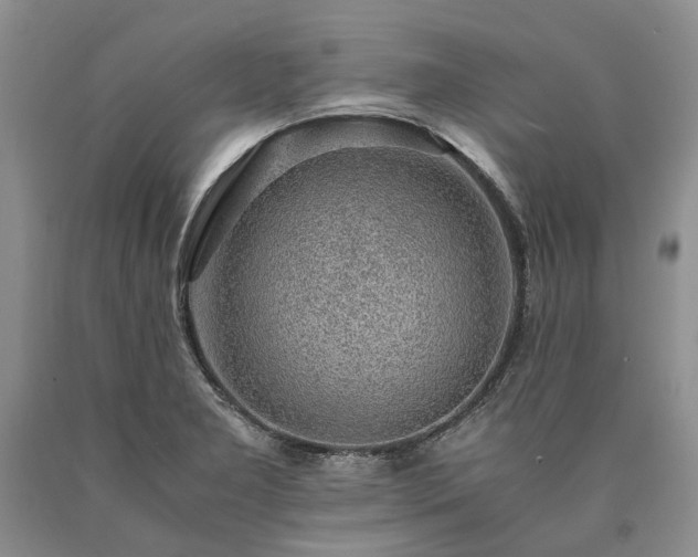 X0000090451277200707201306