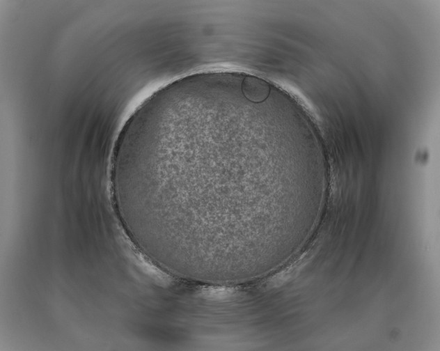 X0000090451278200707201306