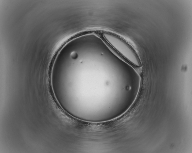 X0000090451279200707201306