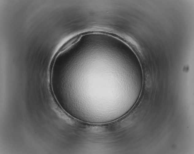 X0000090451280200707201306