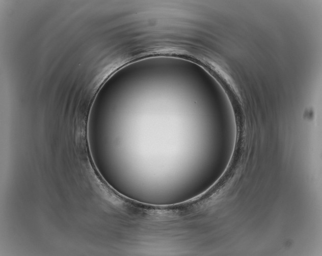 X0000090451281200707201306