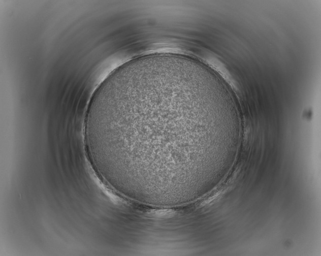X0000090451282200707201306